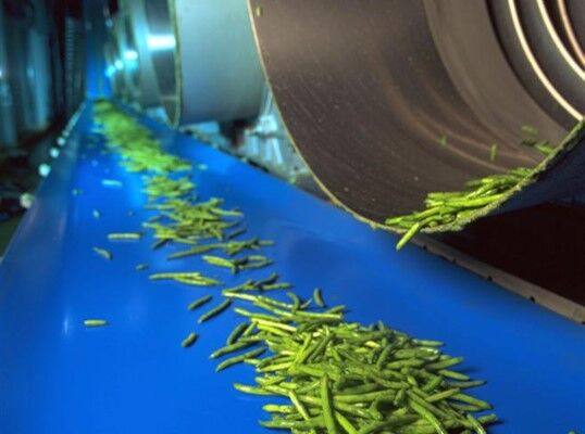 食品輸送帶，ReoClean 易潔帶可以輸送哪些食品