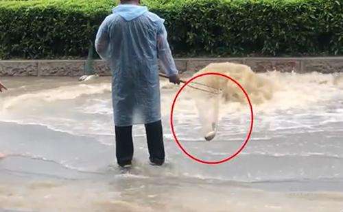 輸送帶廠家：廣州雨后內(nèi)澇嚴(yán)重，路人當(dāng)街捕魚(yú)