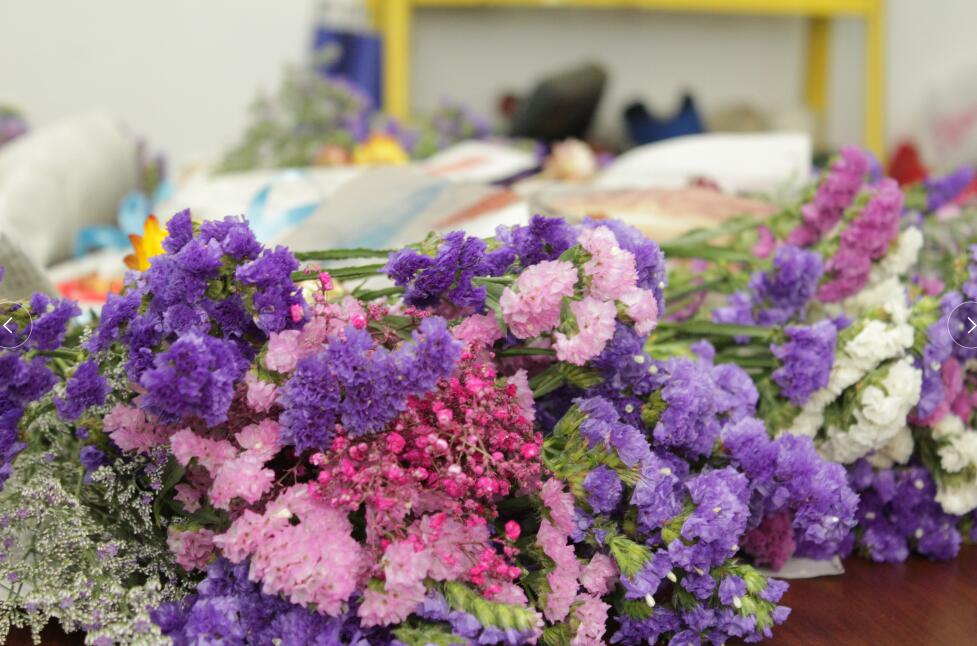 三八女神節(jié)，擎川給女神們送上驚喜！