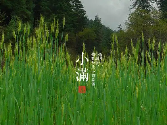 今日小滿，擎川與你一起靜待美滿！