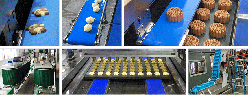 食品PVC輸送帶案例 食品PVC輸送帶案例