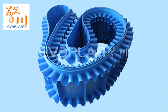 1641889983536664.jpg 海鮮水產(chǎn)輸送帶