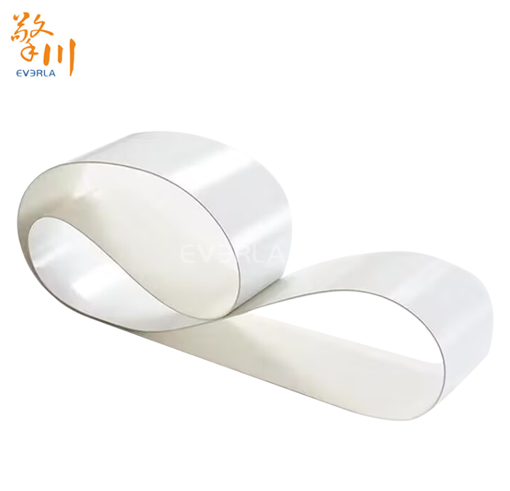 1764646308204133.jpg 食品級(jí)PE輸送帶——2.jpg